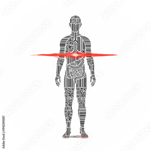 Human body silhouette filled with barcodes and organs, scanned by red light