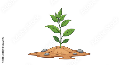 A single vibrant green seedling with several leaves emerges from a small brown soil mound, flanked by three grey rocks, against a white background.
