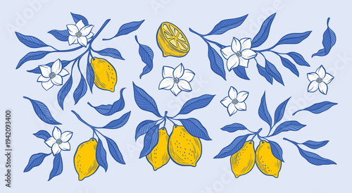 Amalfi Lemon Branches Vector Collection of Yellow Fruits with Flower Blossom, Blue Leaves Summer Citrus Illustration, Hand Drawn Botanical Foliage Sicilian Italian Mediterranean Design Elements Set