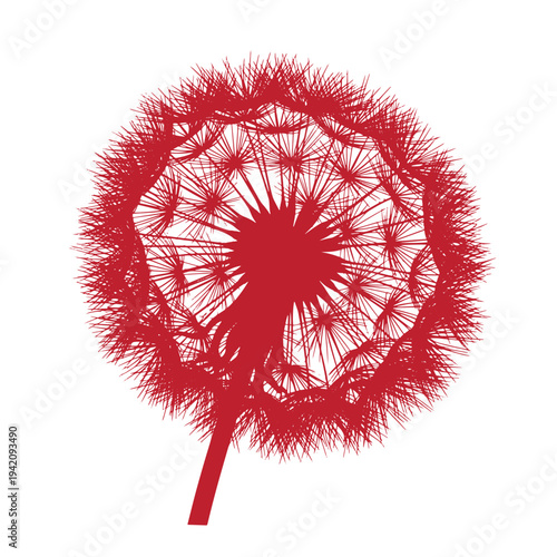 red dandelion flower silhouette on white background