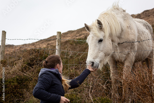 Photos A young woman hand-feeding a white Connemara pony over a wire fence in a rugged moorland landscape authentic rural animal interaction and equestrian lifestyle photography in a wild, misty countryside