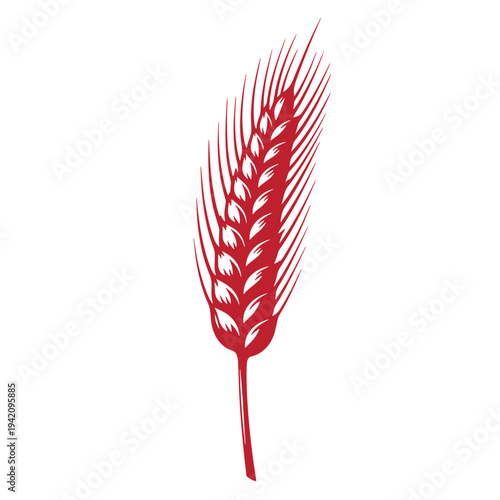 Red wheat ear illustration isolated on white background for design and decoration purposes easily