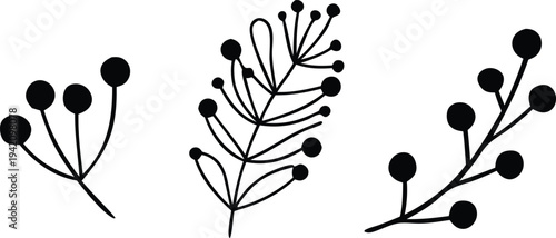 Black and white botanical of flowering branches