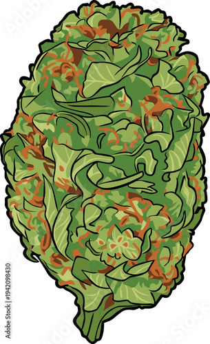 Realistic illustration of a dried cannabis flower bud, medical marijuana herbal medicine concept, isolated on white background