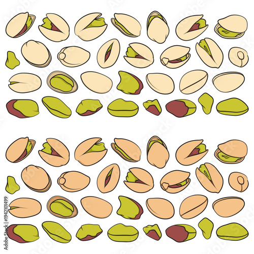 Set of color illustrations of pistachio nuts. Isolated vector objects on white background.