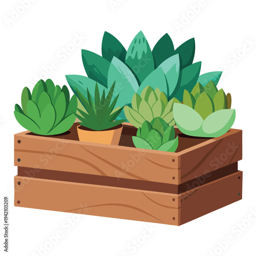 Fresh Green Succulent Plants and Potted Cacti Thrive in a Rustic Wooden Planter Box Arrangement
