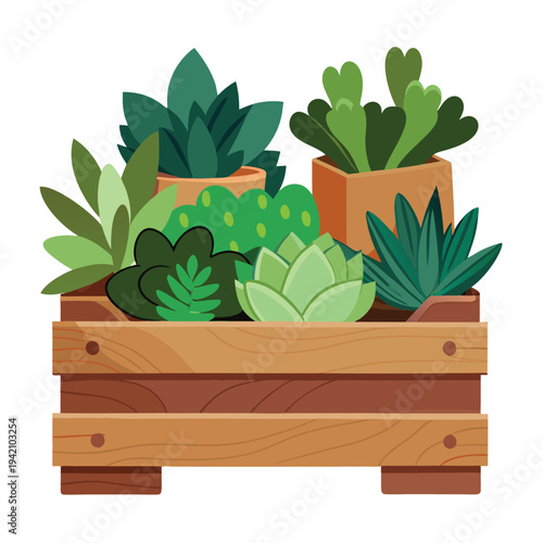 vector illustration of   succulent in wooden crate (2)