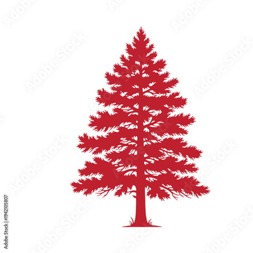 Red pine tree silhouette on white background  a single evergreen tree with branches and trunk