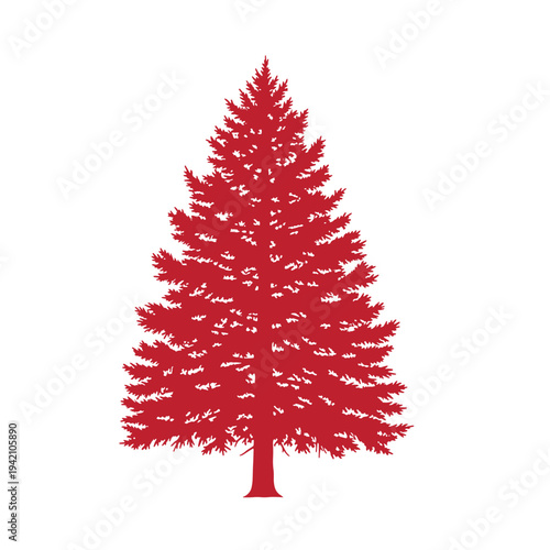 Red pine tree silhouette on white background  evergreen coniferous tree