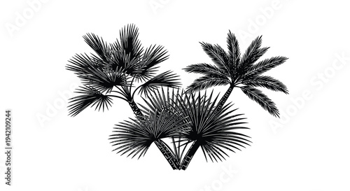 Set of 5 palm trees vector illustration