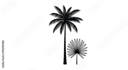 Set of 2 palm trees vector icons