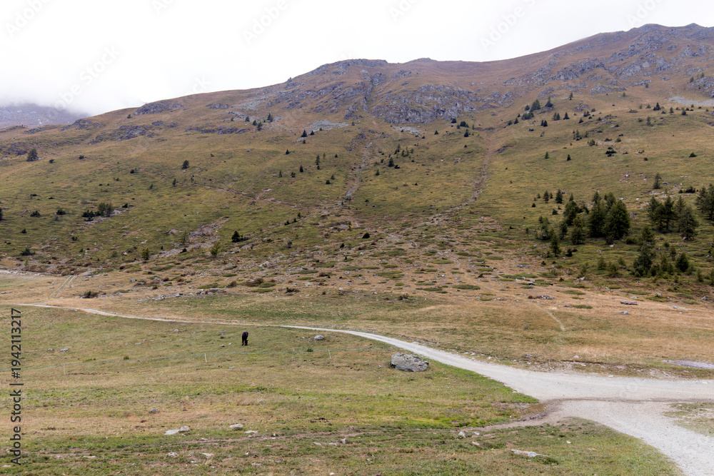 Fototapeta premium A view of mountain trail route