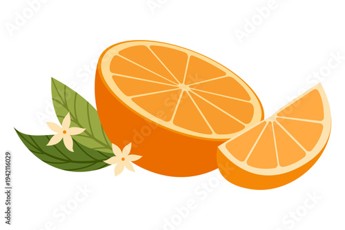  Slices of orange with leaves. Fresh juicy citrus fruit. Perfect for food design, packaging, menu and healthy lifestyle themes. Healthy food concept. Vector illustration isolated on white background.
