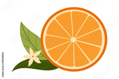 Round cut orange with leaves. Fresh juicy citrus fruit. Perfect for food design, packaging, menu and healthy lifestyle themes. Healthy food concept. Vector illustration isolated on white background.