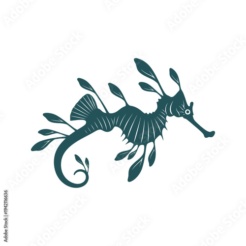 Elegant illustration of a Weedy Seadragon in a teal color, isolated on white.