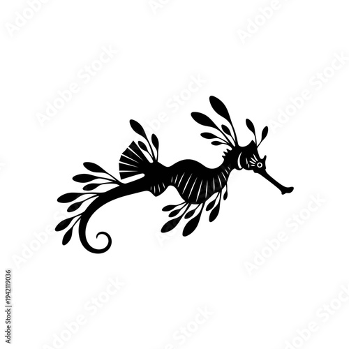 Elegant silhouette of a leafy seadragon, a unique marine creature.