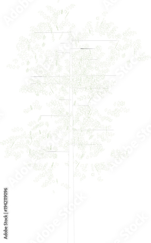 Technical landscape architectural plan showing site layout with vegetation areas, pathways and structural elements in light line drawing format.