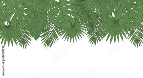 Vector tropical leaf border, green palm fronds