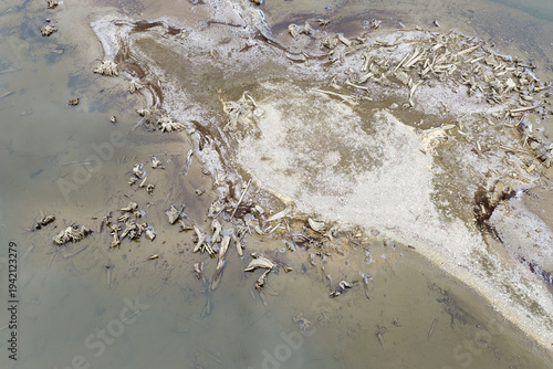 Aerial View of Driftwood Covered Mudflat Shoreline Along a Low River in BC, Canada