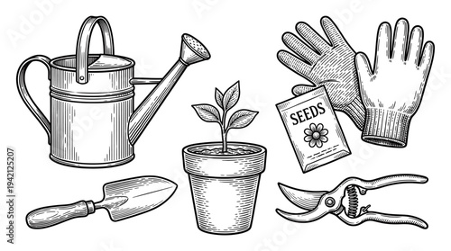Gardening tools and a young plant in a pot, surrounded by gloves, seeds, and pruning shears, depicted in a detailed illustration.
