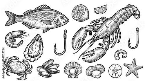 A detailed illustration of ocean creatures and seafood on a white background from a top viewpoint