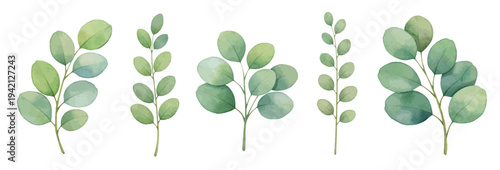 A charming watercolor collection of green leaves illustrated in a natural floral style.