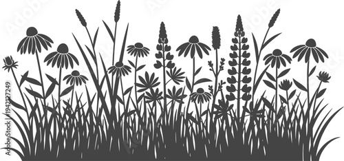 Vector floral pattern with silhouette flowers and grass on white background