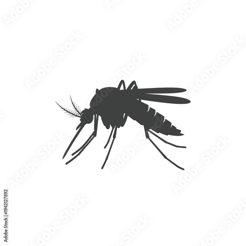 Silhouette of a mosquito insect isolated on a white background.