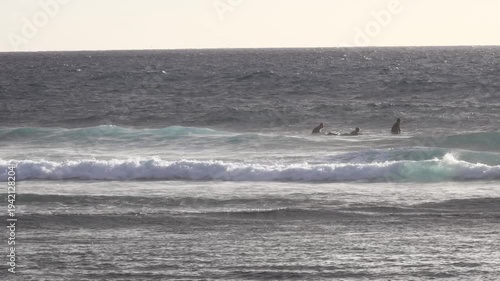 Three surfers sitting on their boards or paddling against the incoming waves, watching the horizon as soft light reflects on the ocean during a calm moment before the next set arrives