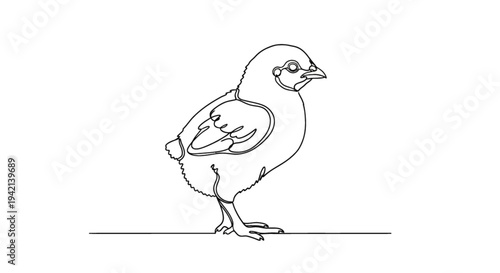 Simple line art chicken illustration standing