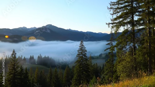 Misty valley at sunrise with evergreen forest and distant mountains.