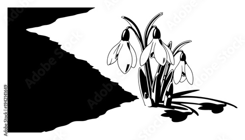 Snowdrop flowers blooming in early spring season linocut style illustration