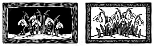 Snowdrop flowers blooming in nature scenes in vintage linocut style