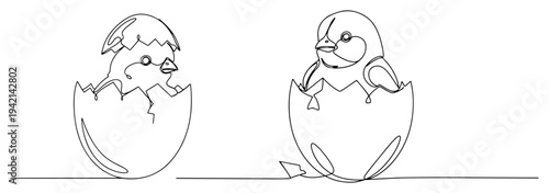 Baby chicks hatching from eggshells continuous line art style