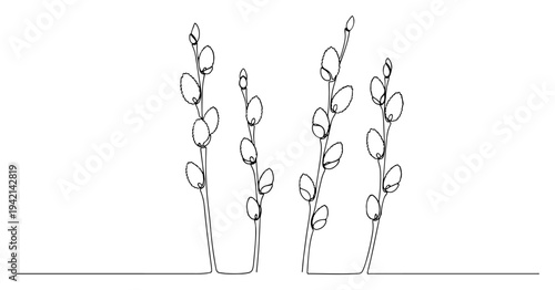 Pussy willow branches in continuous line art style for spring and Easter design