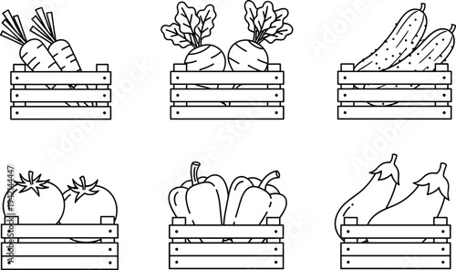 Collection of fresh vegetables in wooden crates, line art illustration