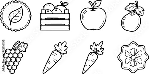 Collection of fresh fruits and vegetables icons in a simple line art style