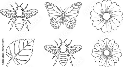 Collection of line art insects and flowers, perfect for coloring pages and educational materials