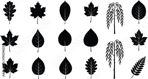 Collection of various leaf shapes and types