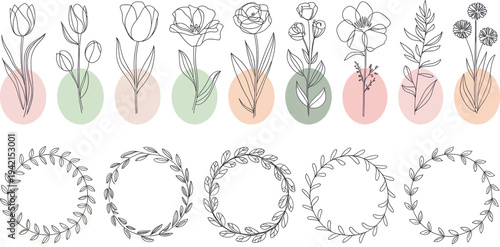 Botanical line art illustrations featuring delicate flowers and decorative leaf wreaths, perfect for design projects