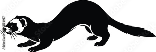 Vector black ferret weasel animal on white background silhouette design
