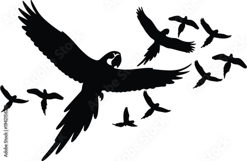 Vector flock of birds flying with macaw silhouette design