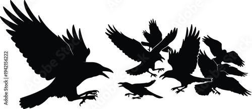 Vector flock of flying ravens birds in silhouette design