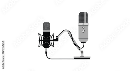 Two different studio microphones, a black condenser and a silver USB model, are connected and displayed on a plain white background.