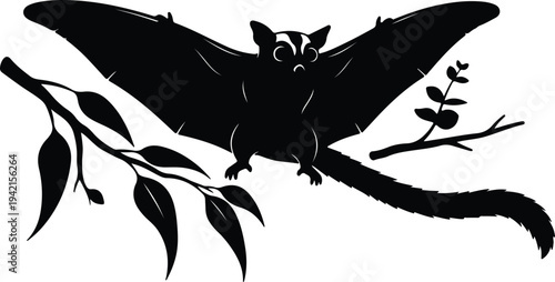 Vector flying sugar glider animal on branch black silhouette design