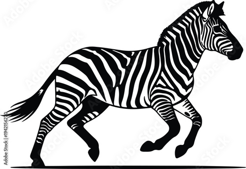 Vector galloping zebra with bold black and white stripes silhouette design