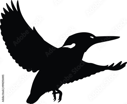 Vector kingfisher bird in flight silhouette design