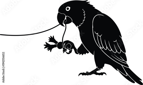 Vector parrot holding toy with beak and claw silhouette design