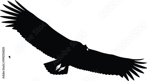 Vector silhouette of soaring bird of prey with outstretched wings design