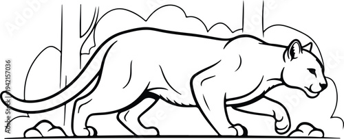 Vector walking cougar mountain lion feline predator in wild nature silhouette design